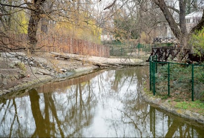 Regulacja przepływu starorzecza Odry na terenie ZOO Wrocław Sp. z o.o.